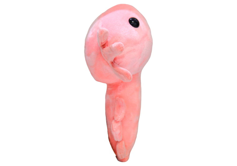 Peluche Ajolote Rosa 20 cm