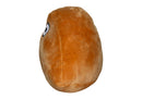 Peluche Potato Pet color cafe