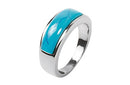 Frau Inoxidable Anillo Acero Inoxidable Plateado Sencillo Piedra Imitacion Turquesa