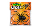Araña delgada de Plastico