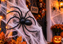 Araña delgada de Plastico