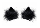 Set de Broches Halloween Orejas de Gato Negro con Peluche