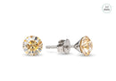 Arete de Poste con Cristal SWAROVSKI Golden Shadow 6 mm